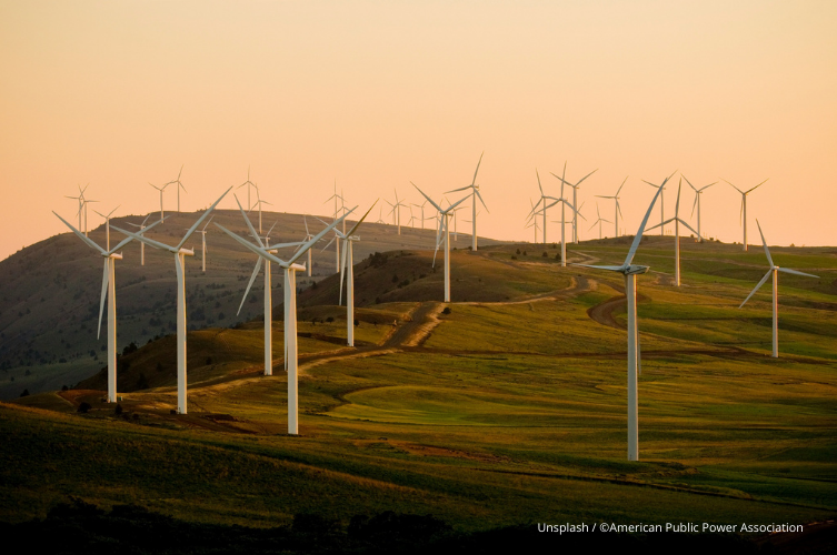 Énergie verte - Un terrain vague avec des éolienne (Unsplash / ©American Public Power Association) 